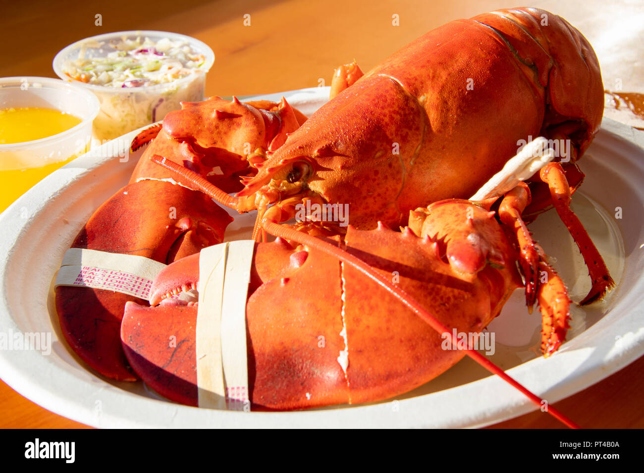 Beal's Hummer Pier Restaurant, Southwest Harbor, Maine, USA Stockfoto