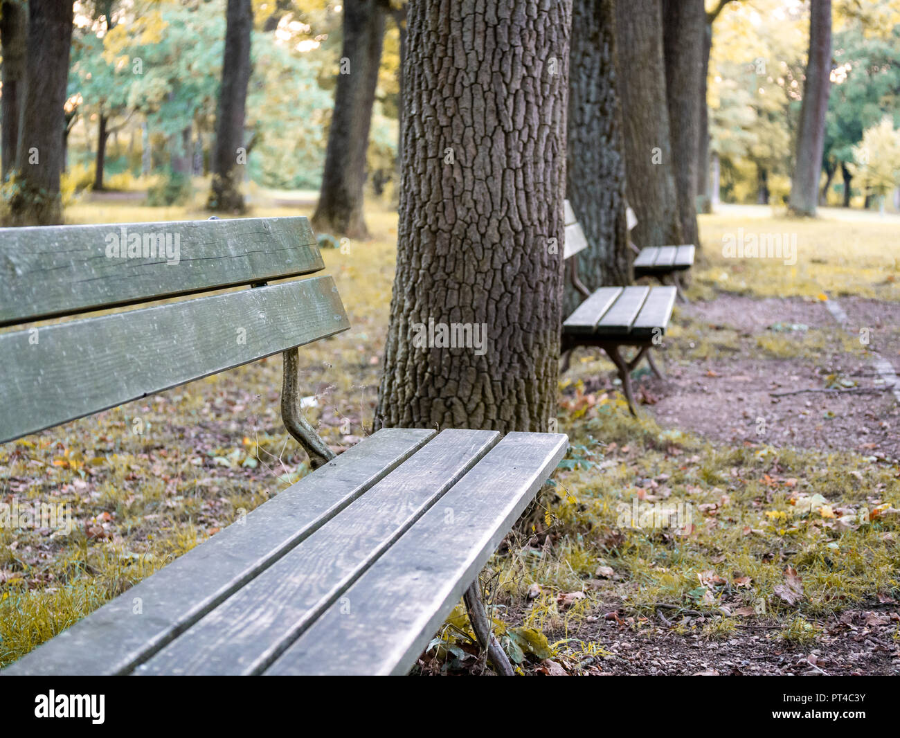 Bild auf der Bank im Park im Herbst Zeit Stockfoto