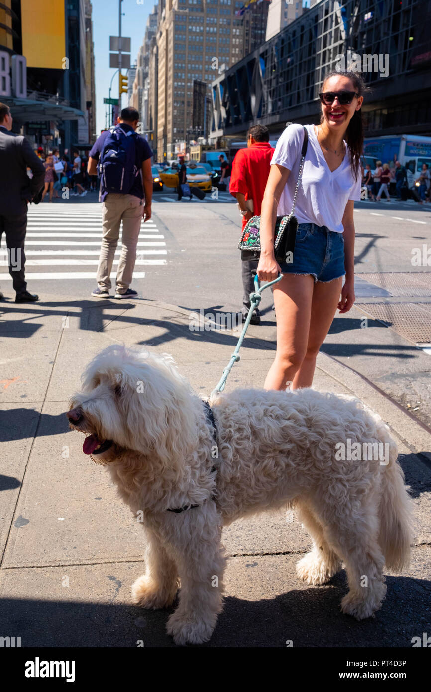 Ein weisser Hund und seinen Besitzer lächelnd auf der 8th Avenue in New York an der Ecke der West 42. Straße auf einem sehr sonnigen und heißen Sommertag Stockfoto