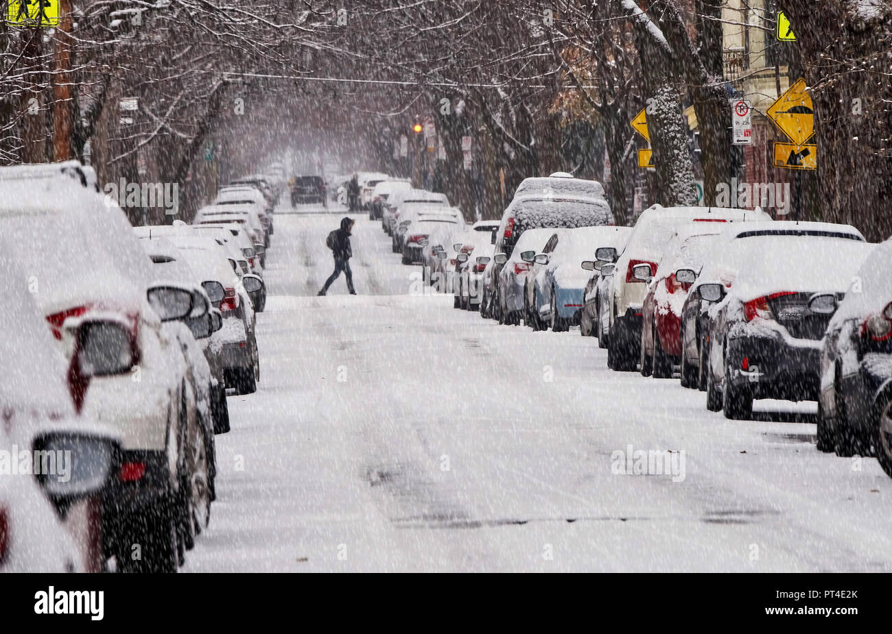 Montreal, Kanada, 10. Dezember 2017. geparkten Autos auf die Straße der Stadt während eines Schneesturmes. Credit: Mario Beauregard/Alamy leben Nachrichten Stockfoto