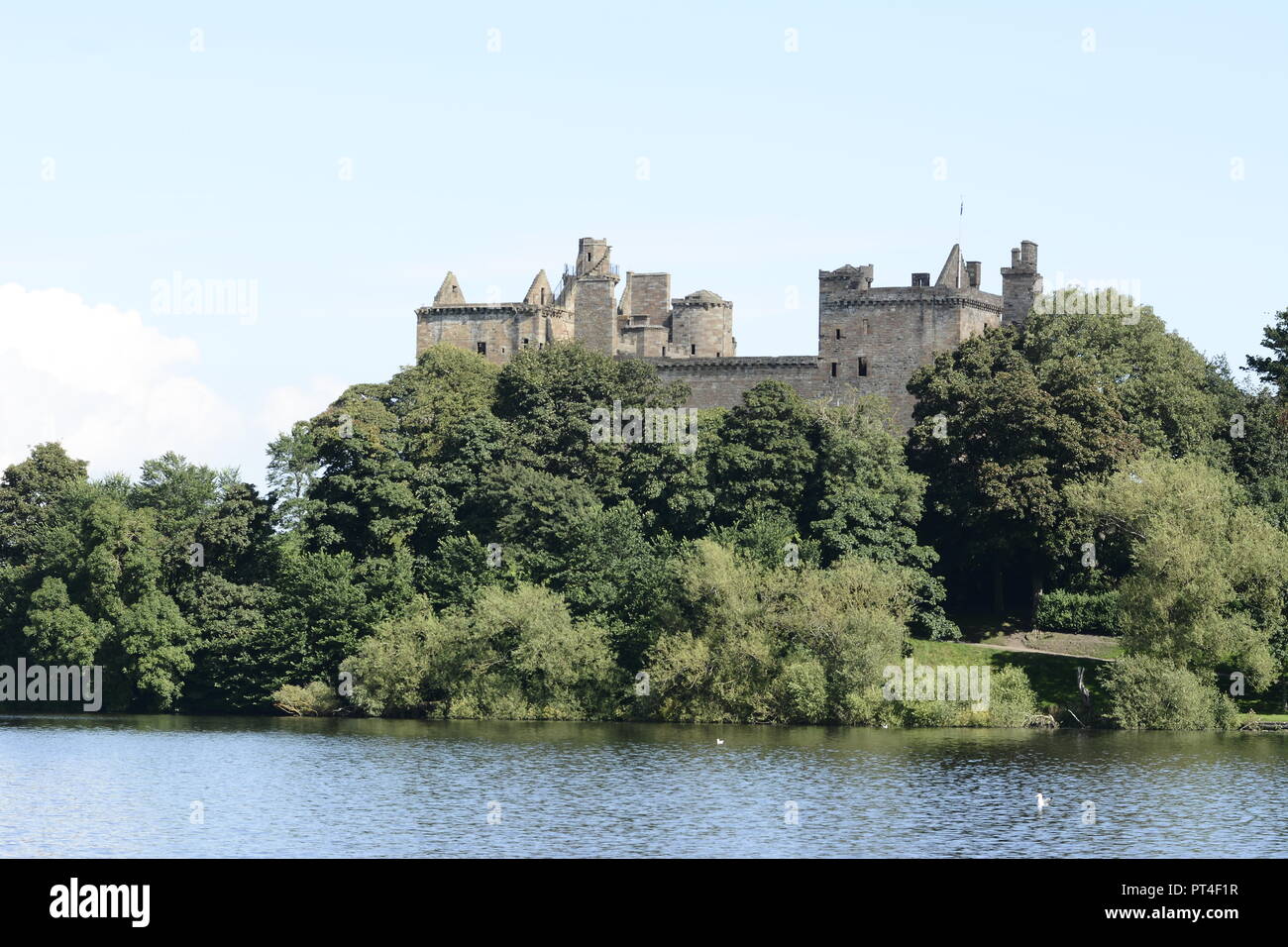 Schottland aus Türen Vögel Stockfoto