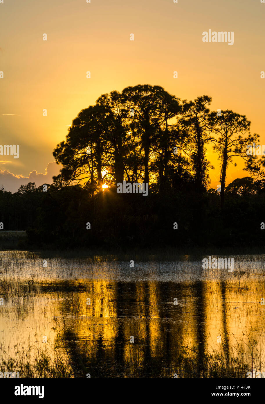 Sonnenuntergang von Feuchtgebieten in Fred C. Babcock/Cecil M. Webb Wildlife Management Area in Punta Gorda Florida Stockfoto
