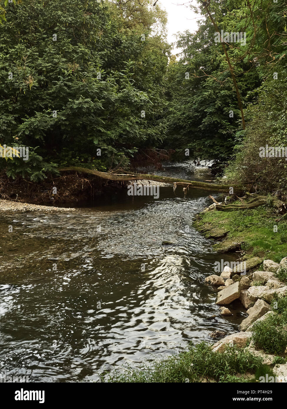 Screenshot des Lambro Park in Mailand im Herbst Stockfoto