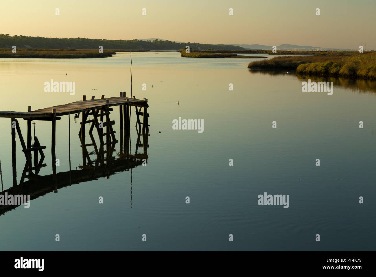 Alten hölzernen Steg am Comporta Feuchtgebiete in Portugal am Abend Zeit. Stockfoto