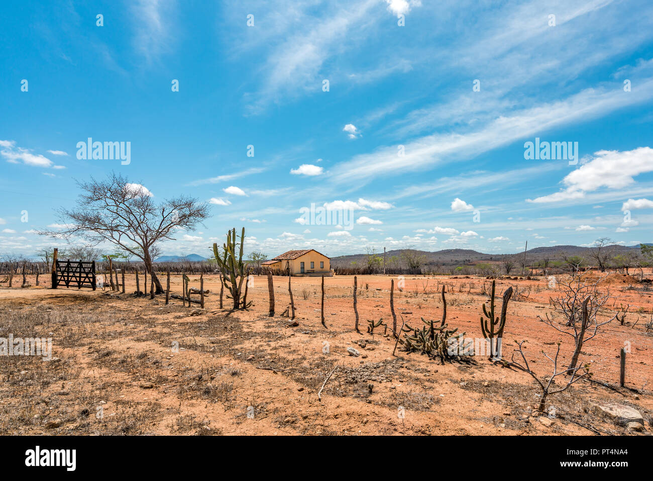 Cariri, Paraíba, Brasilien - Februar, 2018: Landschaft eines einfachen Lebens Hintergrund mit einem schönen gelben Haus in einem trockenen Land mit Caatinga Biome auf Noch Stockfoto