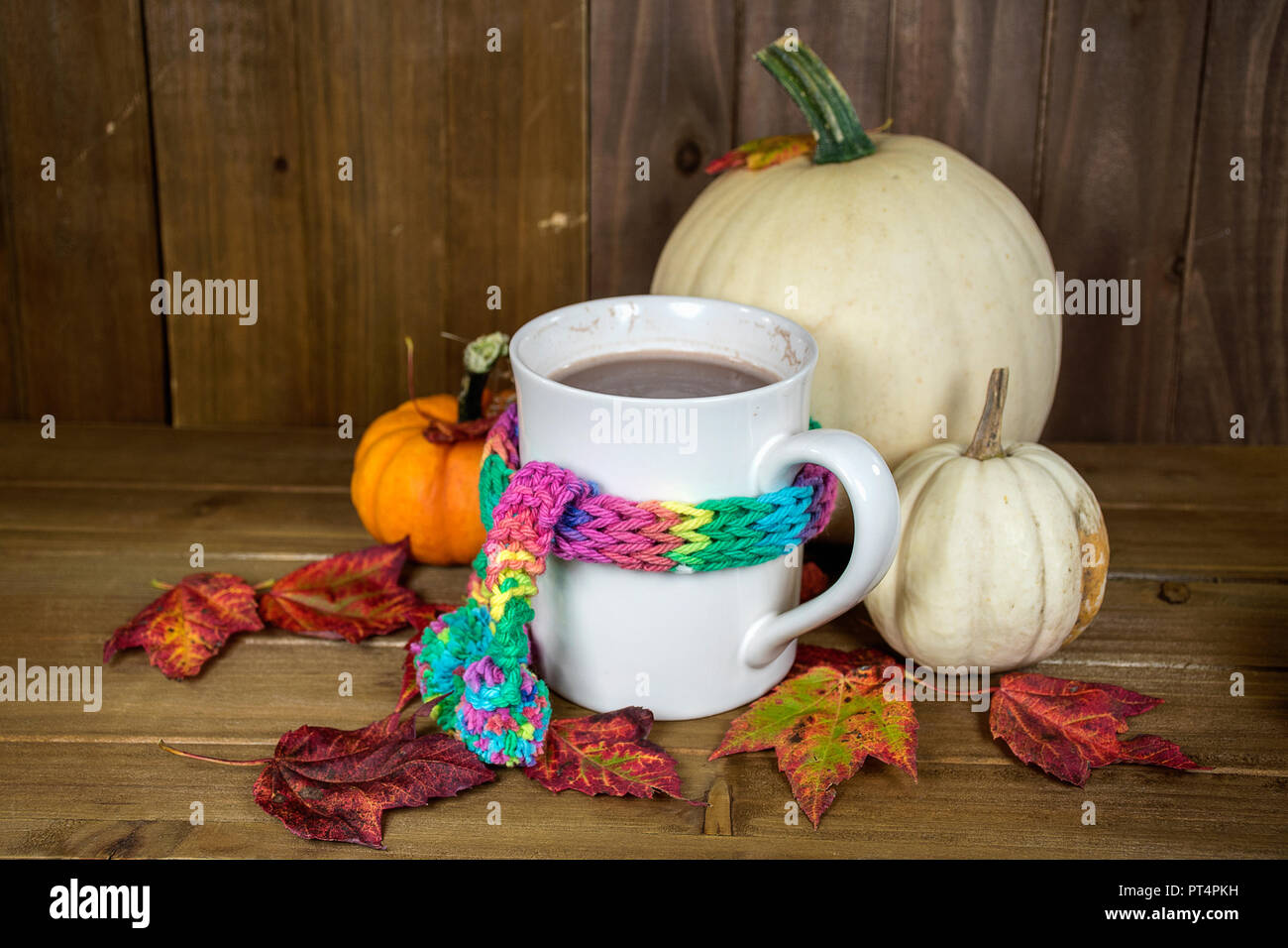Bunte Strickschal um weiße Tasse mit heißer Schokolade im Herbst Blätter und Kürbis Dekorationen verpackt Stockfoto
