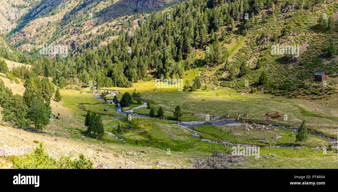 Wunderschöne Landschaft in den Hohen Pyrenäen im Pallars Sobira, Katalonien Stockfoto