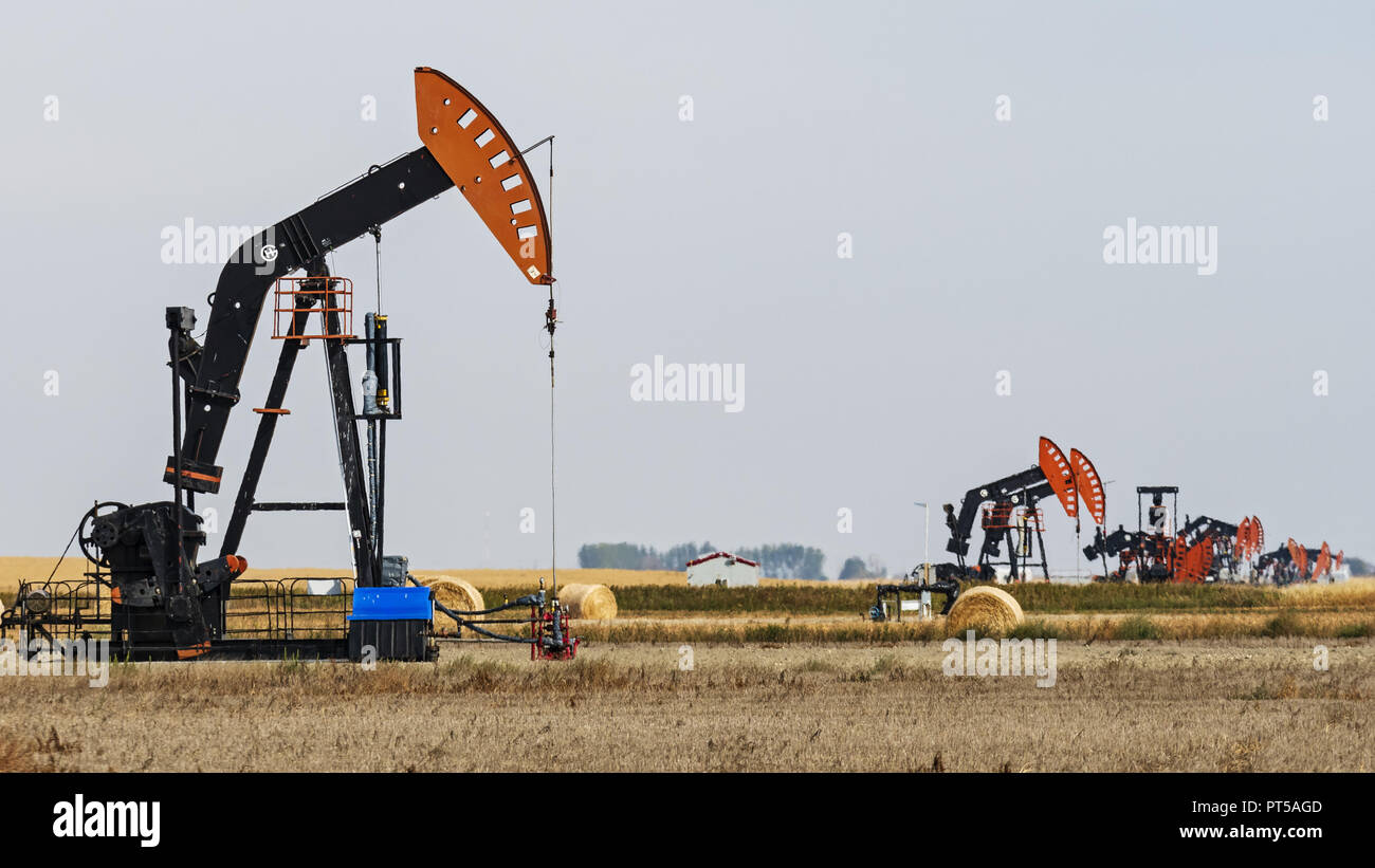 Stoughton, Saskatchewan, Kanada. 9 Sep, 2018. Ölfeld pumpjacks Vom Halbmond Punkt Energie Pumpe Rohöl in der Nähe von Stoughton, Saskatchewan. Credit: bayne Stanley/ZUMA Draht/Alamy leben Nachrichten Stockfoto