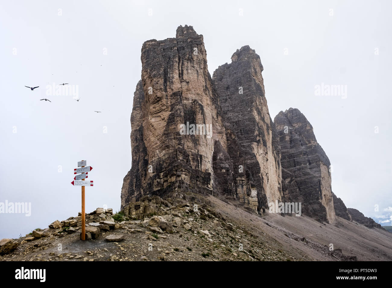 Wegweiser für Wanderer neben der berühmten Drei Zinnen Gipfel der Dolomiten an einem nebligen Tag, Dienstag, 14. August 2018, Tre Cime Nationalpark, Italien. Stockfoto