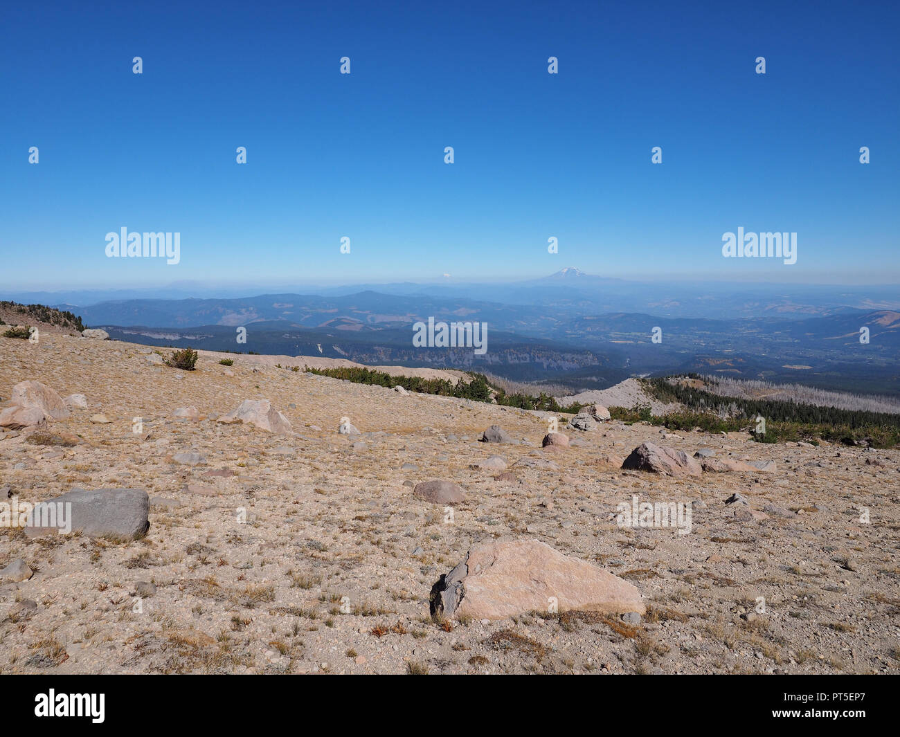 Entfernten Blick auf Mount Jefferson und Mount Rainier ab der Baumgrenze Trail auf Mount Hood, Oregon, auf eine außergewöhnlich klaren, wolkenlosen Tag. Stockfoto