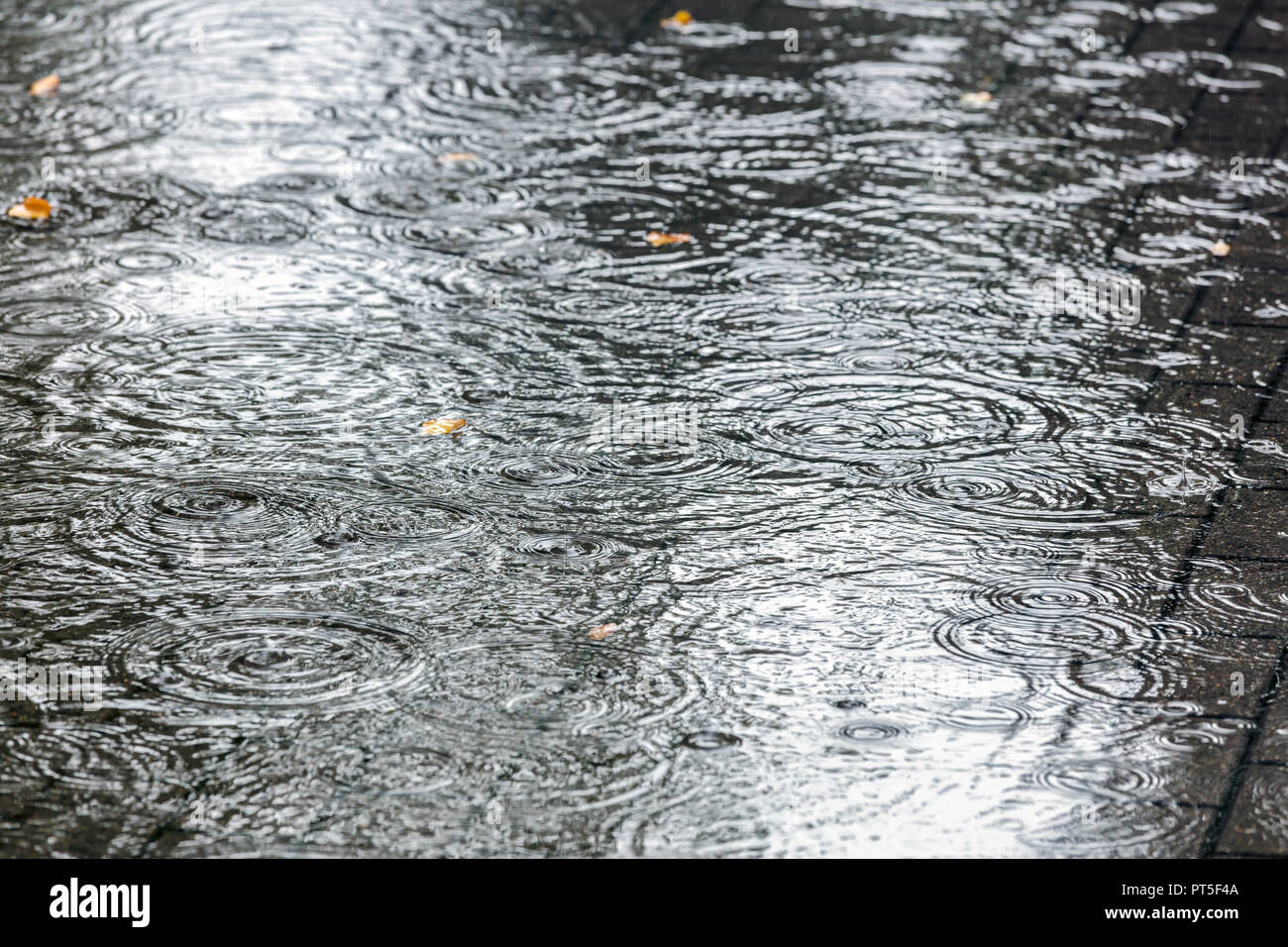Große Regen Pfützen auf Stadt Bürgersteig mit wasserwellen und Kreise im Herbst Saison Stockfoto