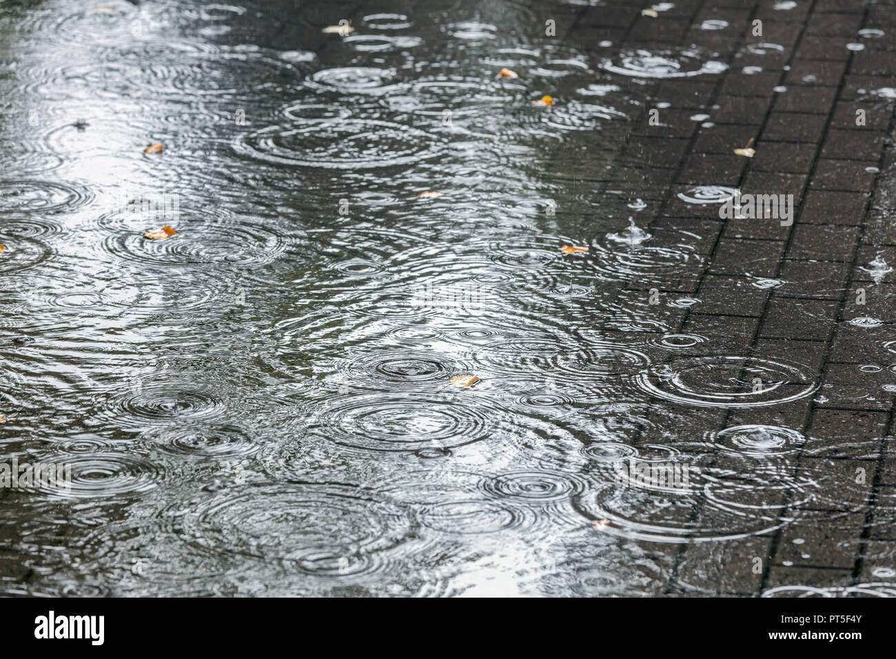Stadt Bürgersteig mit grosse Wasserpfützen bei starkem Regen Detailansicht Stockfoto