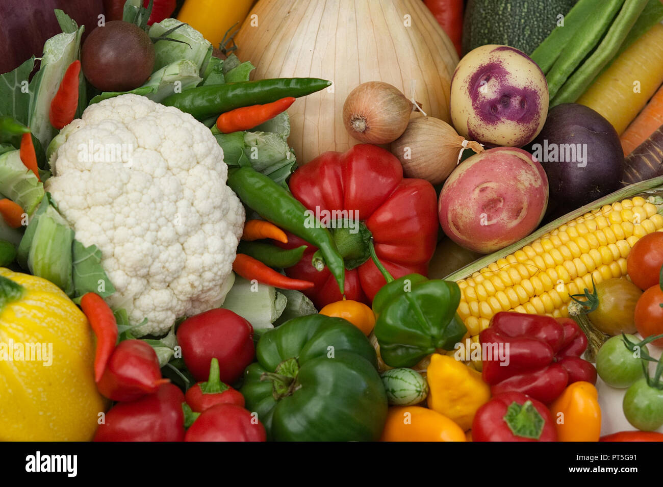 Gemüse Boxen in einem Herbst zeigen geerntet Stockfoto