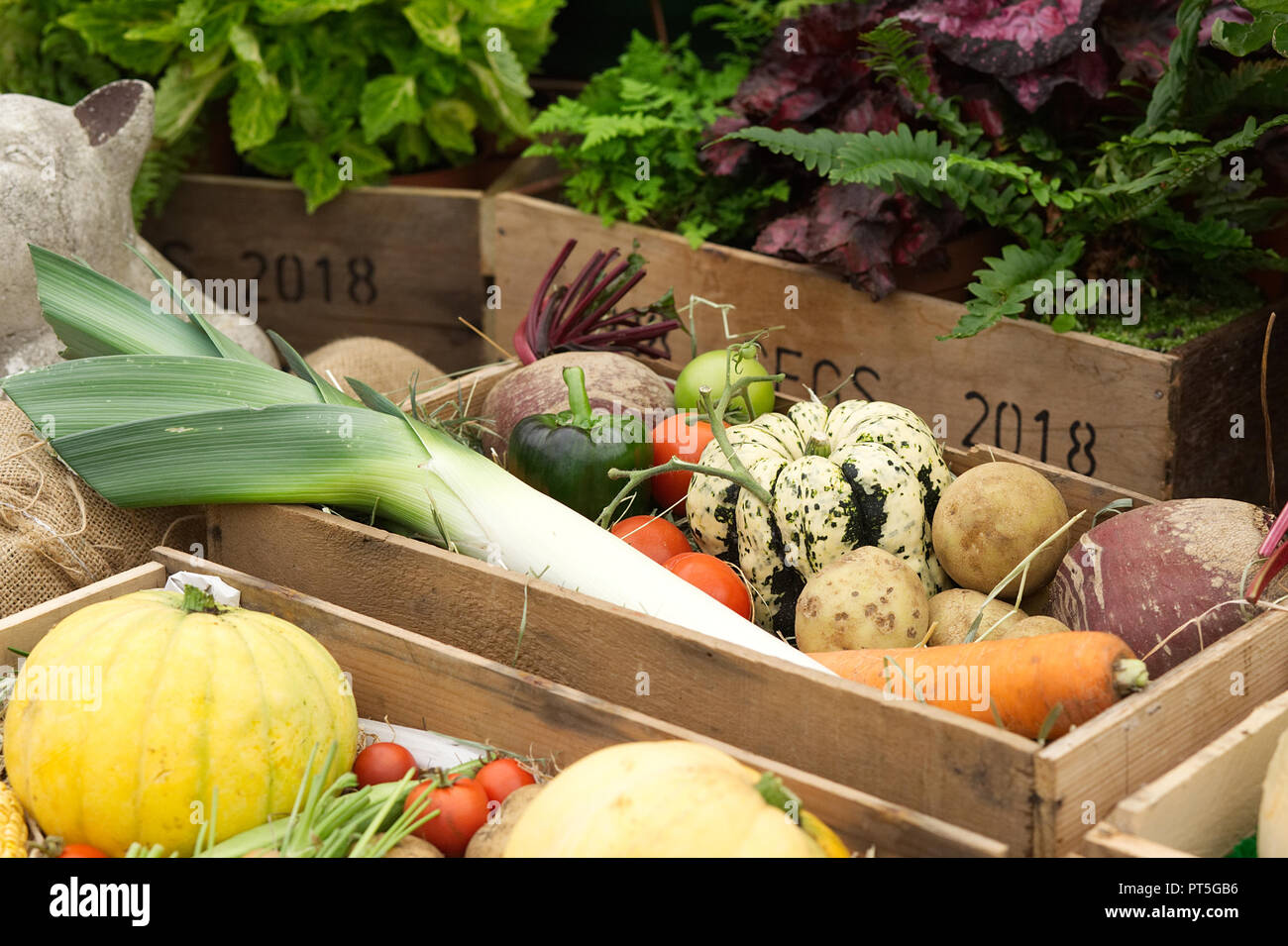 Gemüse Boxen in einem Herbst zeigen geerntet Stockfoto