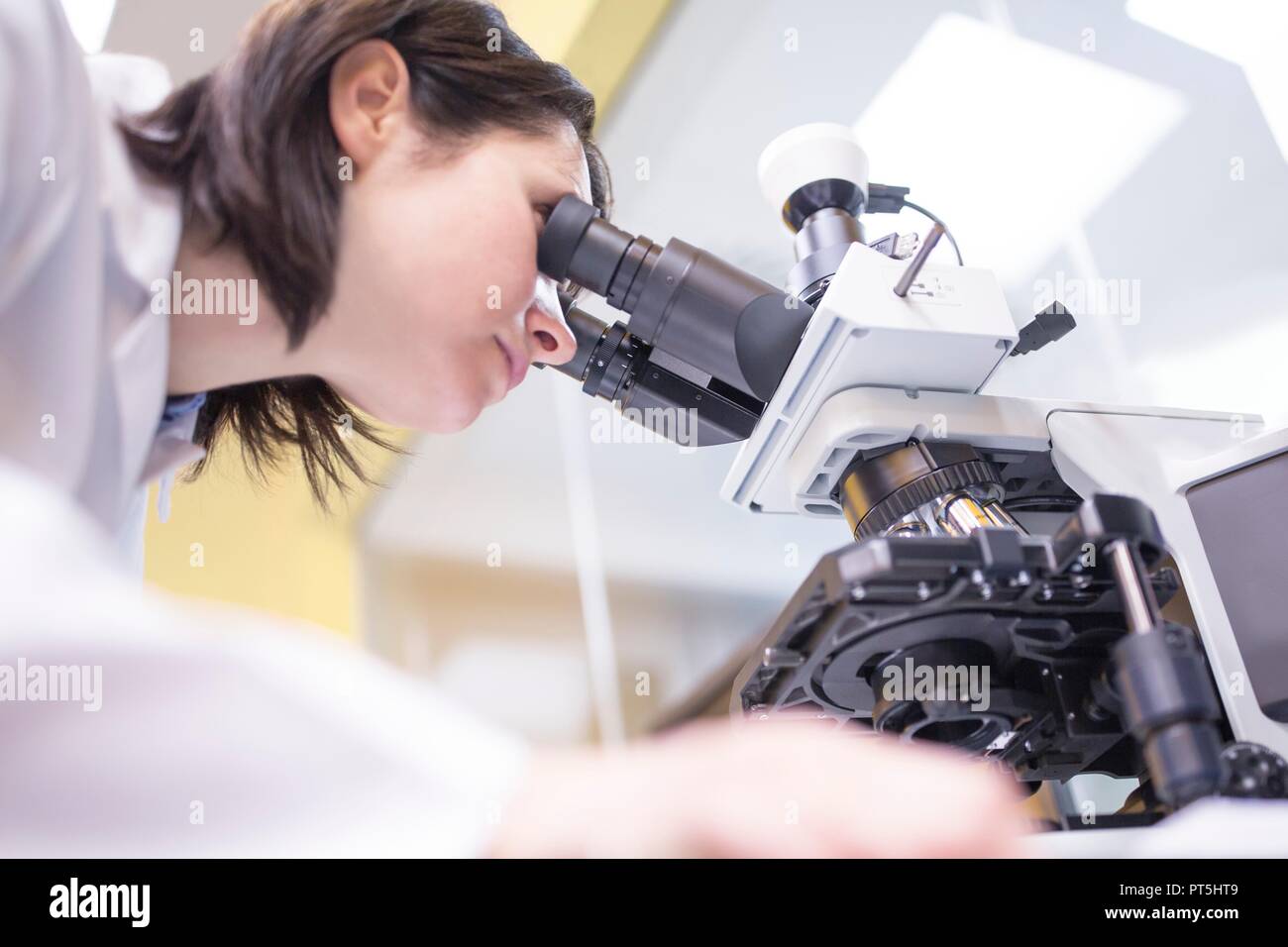 Weibliche Labortechniker mit Mikroskop im Labor. Stockfoto