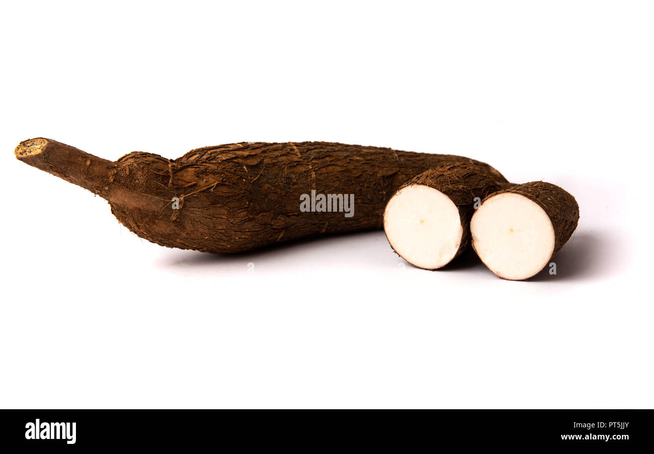 Tapioka root auf weißem Hintergrund, gesundes Essen Stockfoto