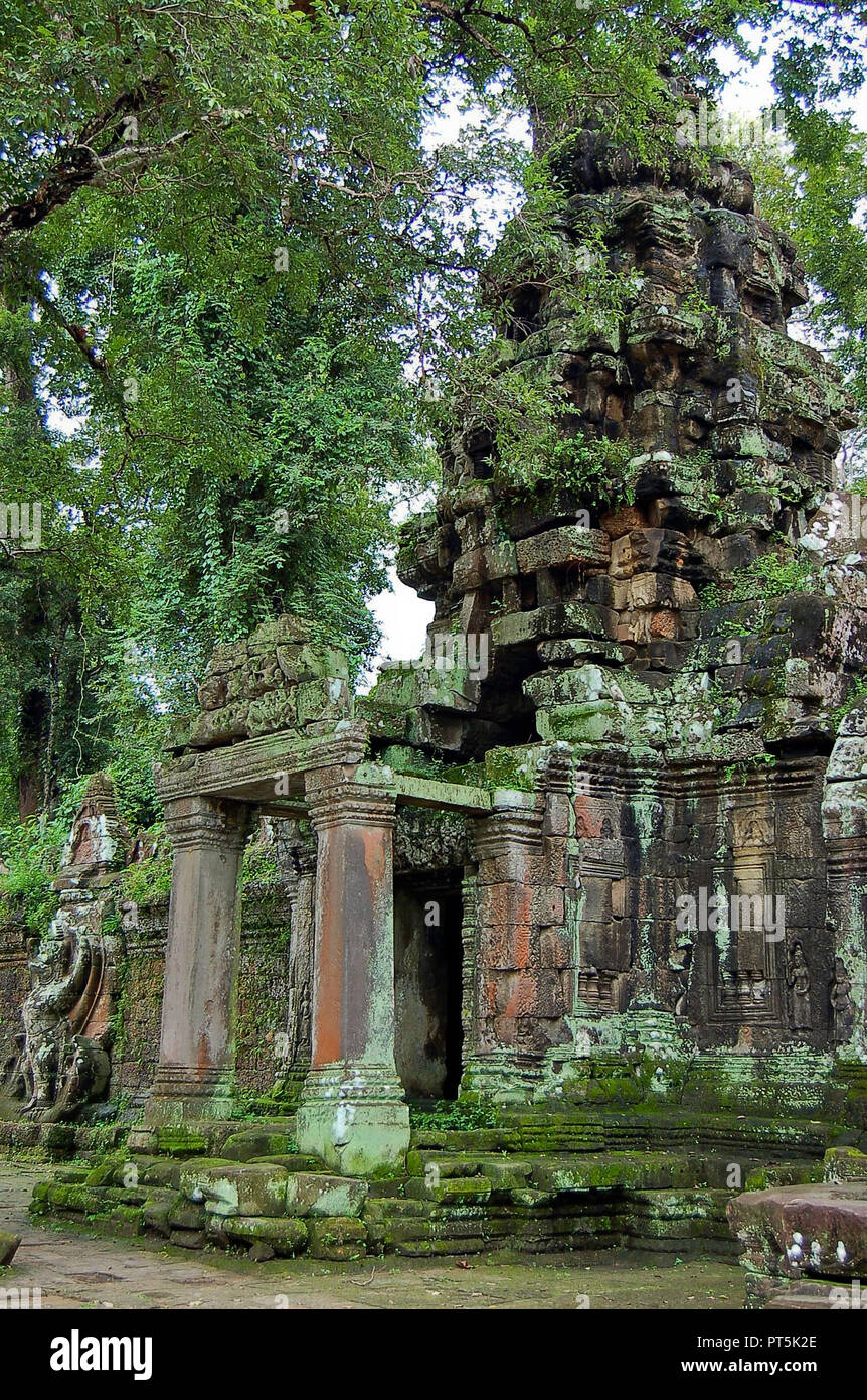 Die Tempel von Angkor Wat in Canbodia Stockfoto