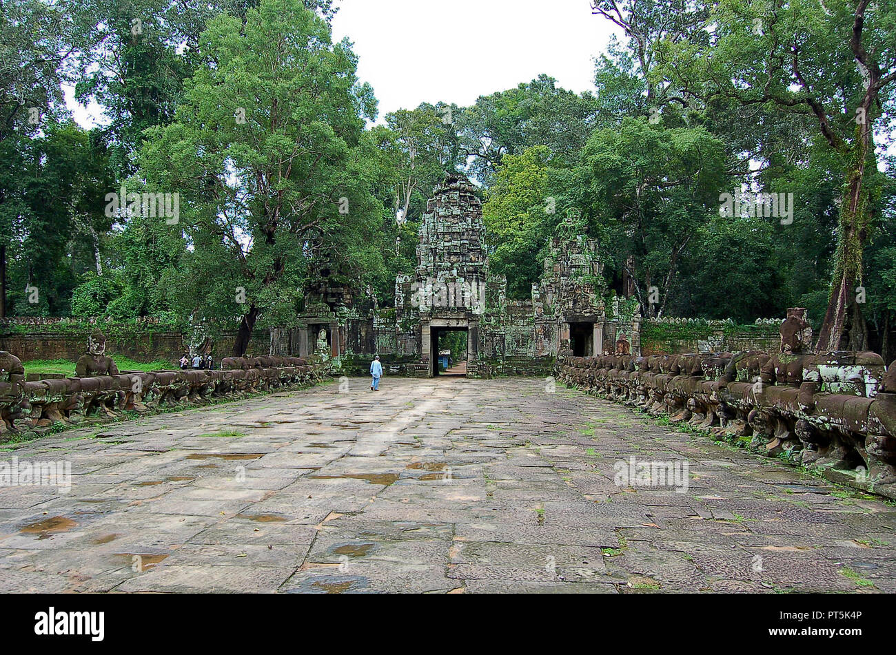 Die Tempel von Angkor Wat in Canbodia Stockfoto