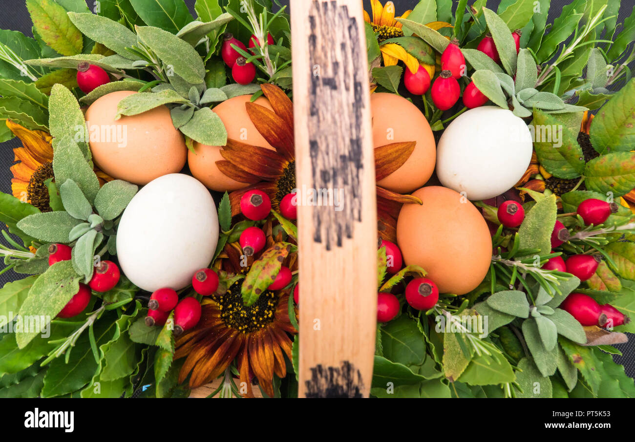 Korb mit braunen und weißen huhn eier auf einem Bett von Blättern und Beeren, Malvern Herbst zeigen Worcestershire UK, September 2018. Stockfoto