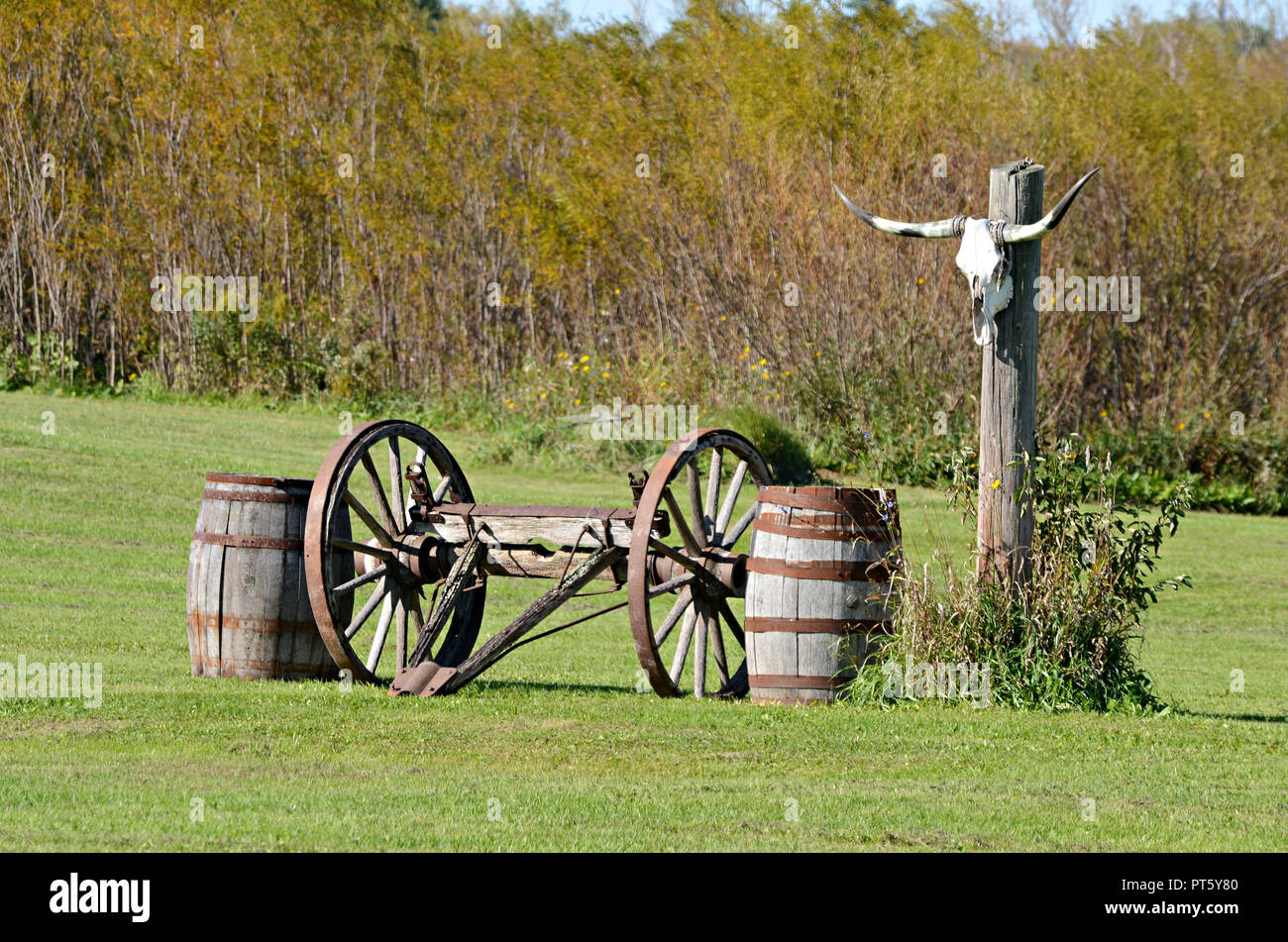 Eine andere Art von Rasen Ornament. Stockfoto