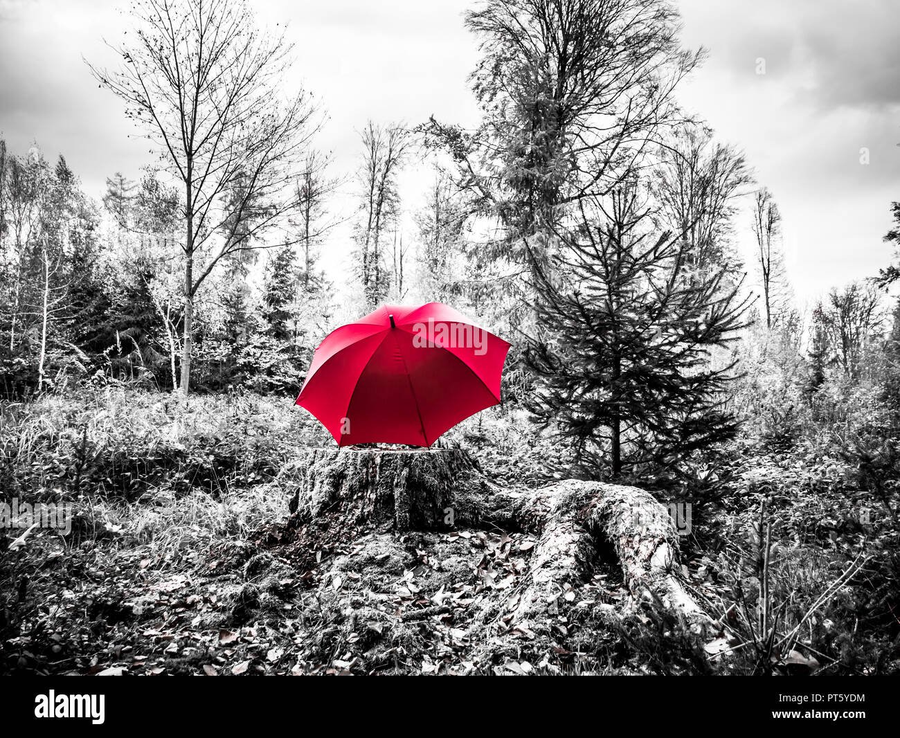 Abstrakte schwarz-weiß Bild von einem roten Regenschirm in einer Amtsleitung Stockfoto