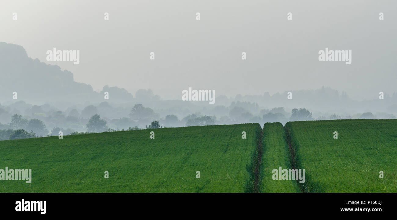 Misty Wetter über einen typisch englischen Landschaft mit grünen Felder und Bäume Stockfoto
