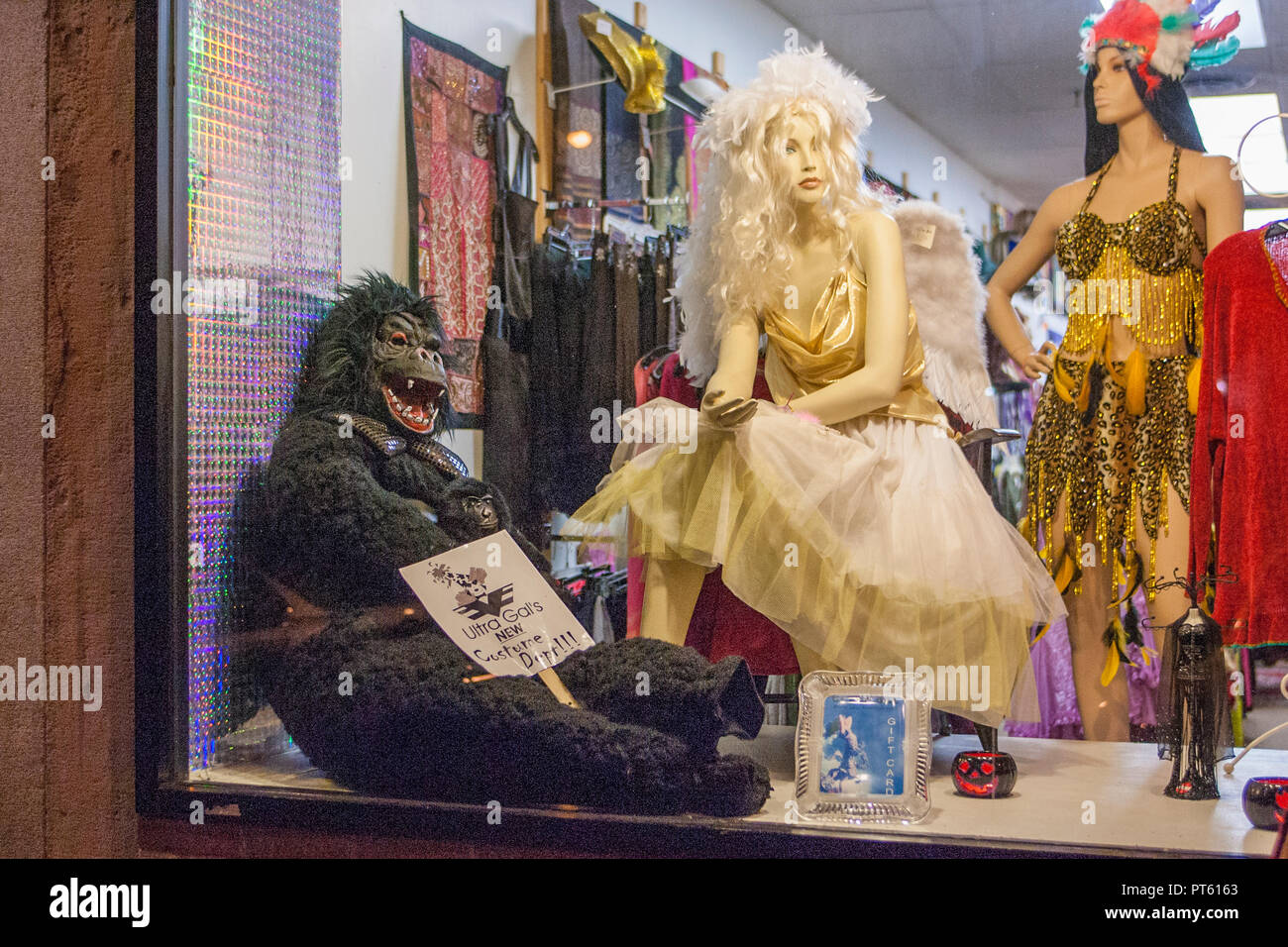 Schaufenster in der Innenstadt von Northampton, MA Stockfoto