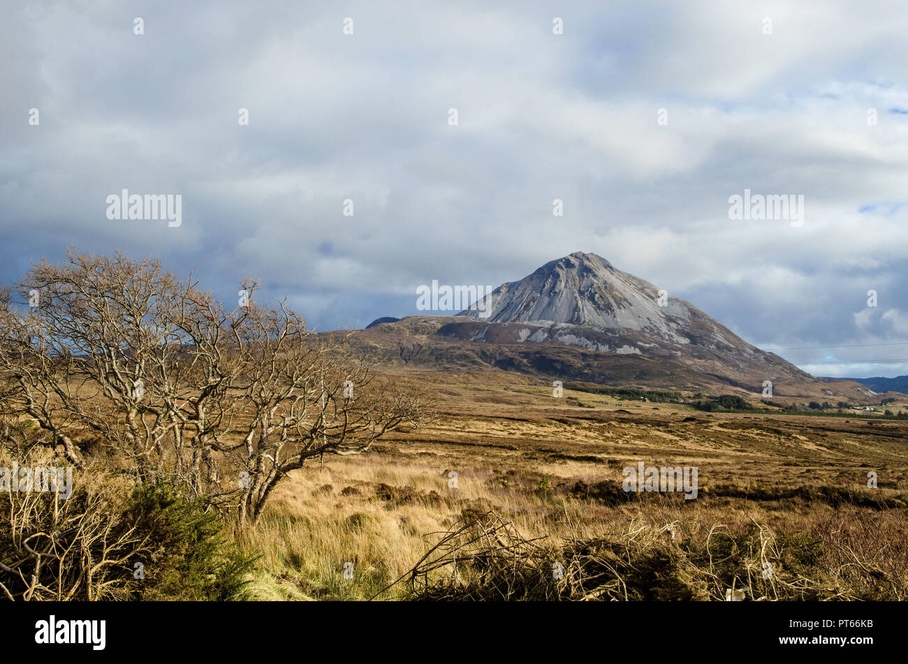 Mount Errigal Dunlewey Gweedore Donegal Irland Europa Stockfoto