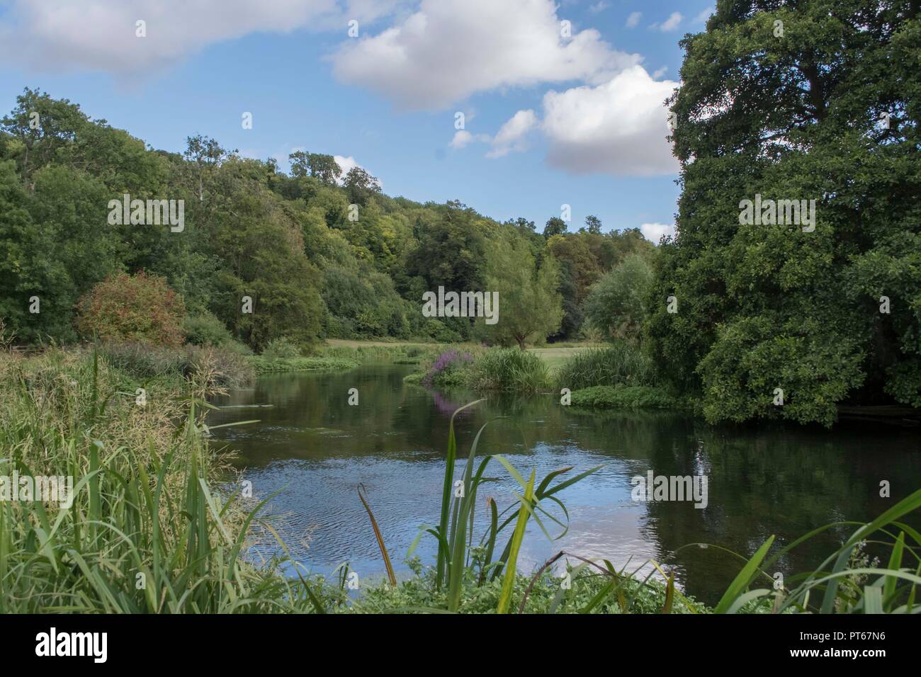 Englisch chalk Stream Stockfoto