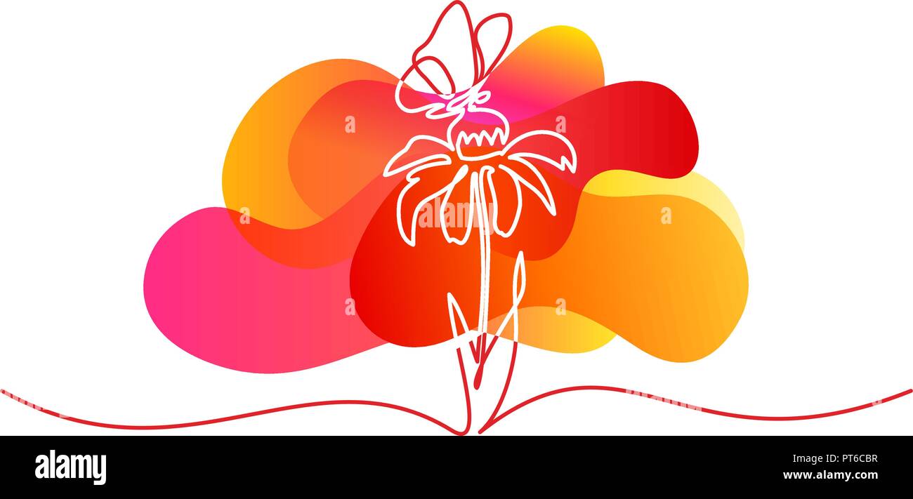 Kontinuierliche eine Zeile in der Farbe der Zeichnung. Schöne Blume Echinacea mit Schmetterling. Vector Illustration Stock Vektor