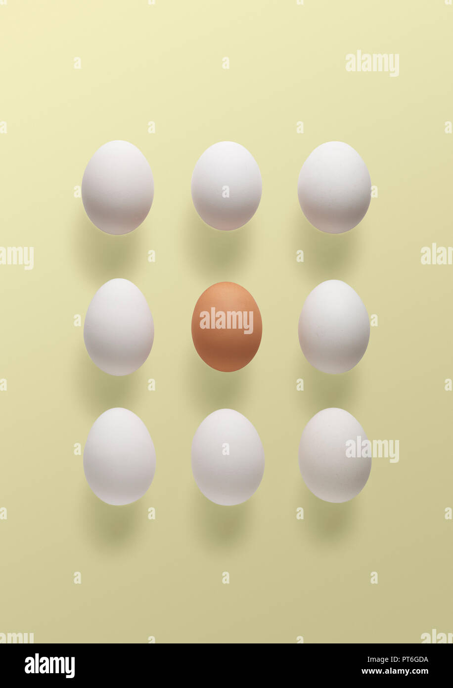 Konzept ein braunes Ei von Weiß umgeben Stockfoto