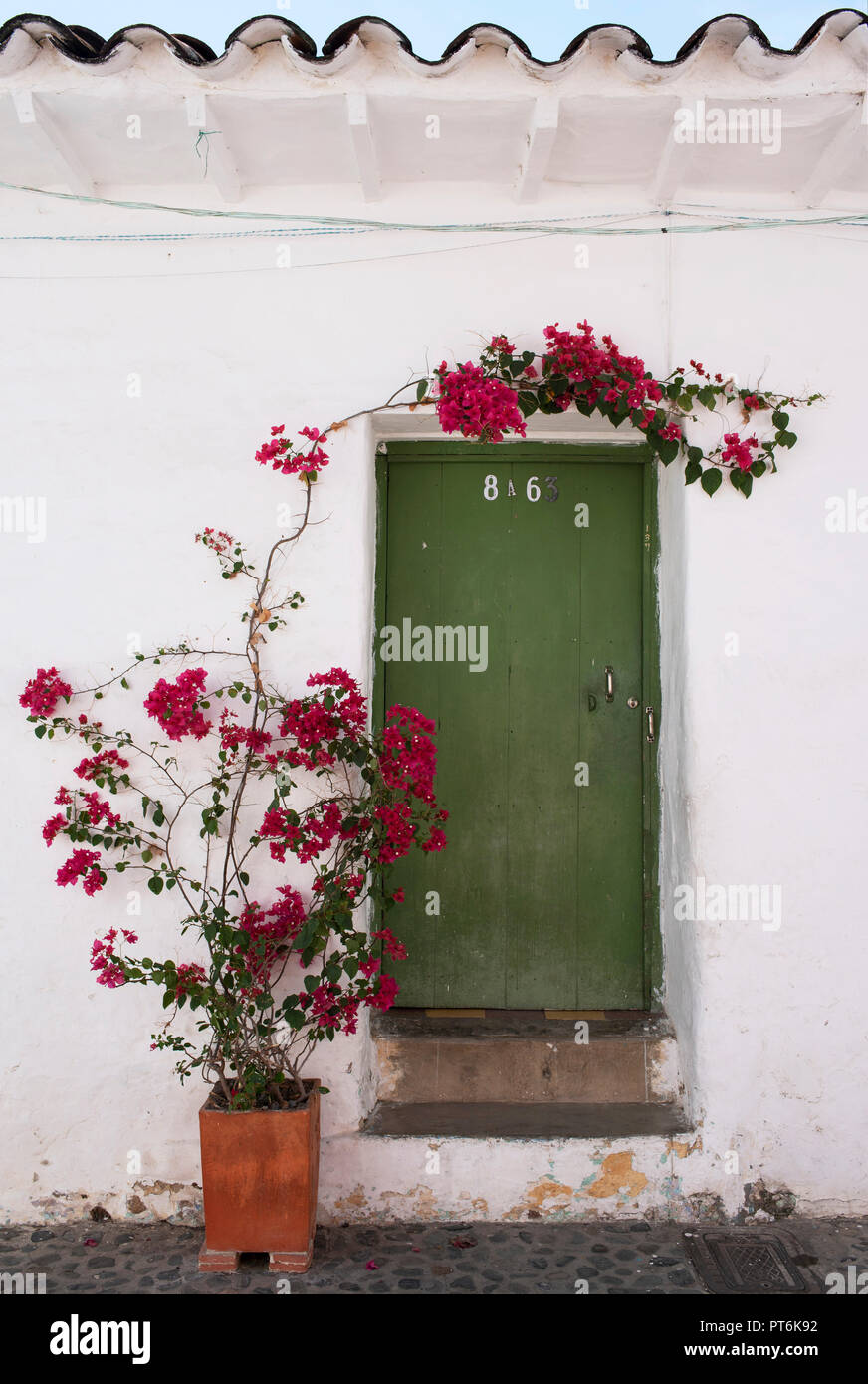 Schönes Haus, Einrichtung von rustikalen Tür und Bougainvillea Pflanze hinaufklettern auf der Wand. Santa Fe de Antioquia, Kolumbien. Sep 2018 Stockfoto
