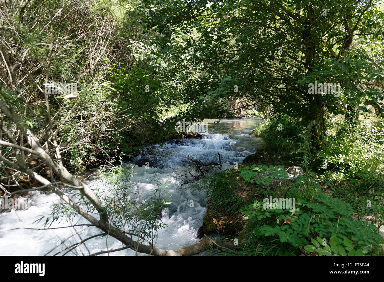 Die rauschenden Wasser des Lousios Flusses neben alten Gortys. Arcadia, Peloponnes, Griechenland. Stockfoto