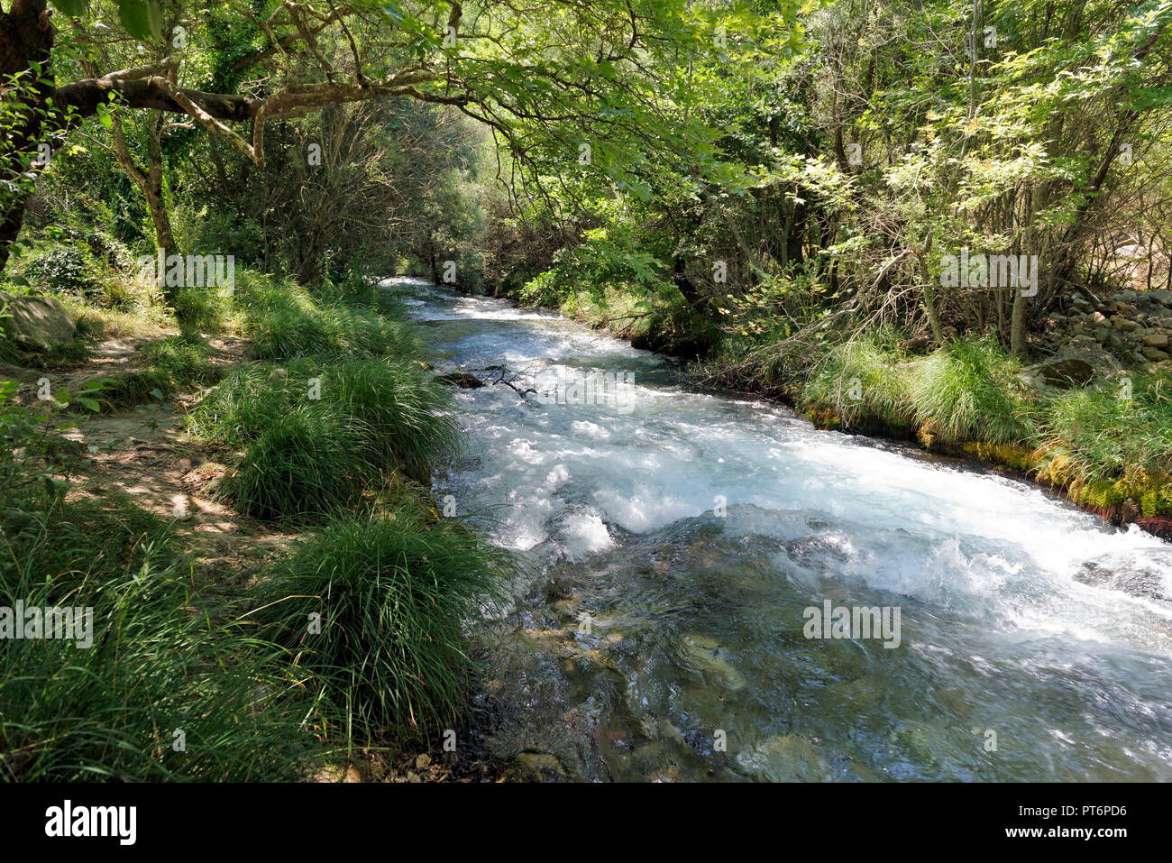 Die rauschenden Wasser des Lousios Flusses neben alten Gortys. Arcadia, Peloponnes, Griechenland. Stockfoto