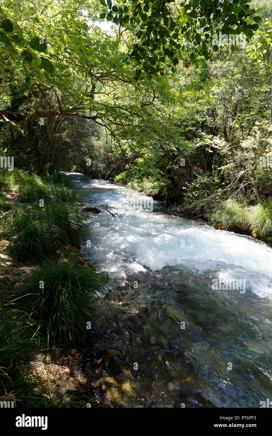 Die rauschenden Wasser des Lousios Flusses neben alten Gortys. Arcadia, Peloponnes, Griechenland. Stockfoto