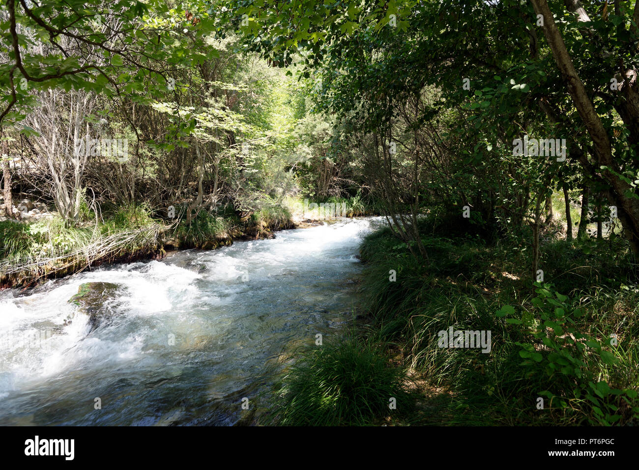 Die rauschenden Wasser des Lousios Flusses neben alten Gortys. Arcadia, Peloponnes, Griechenland. Stockfoto