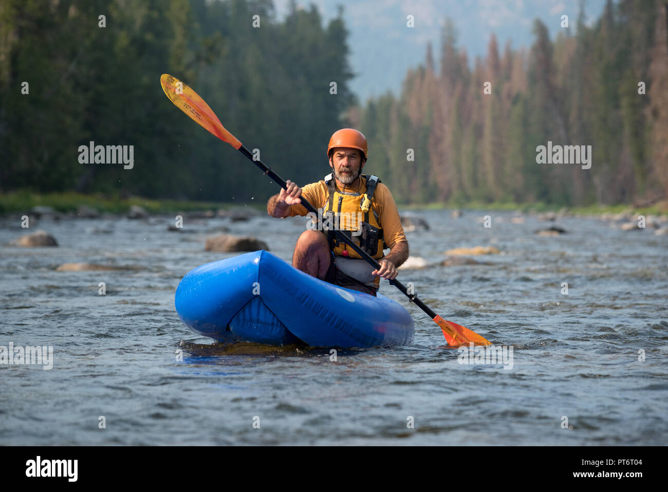 Paddeln eine aufblasbare Kajak auf Moose Creek, einem Nebenfluss des Flusses Selway in Idaho. Stockfoto