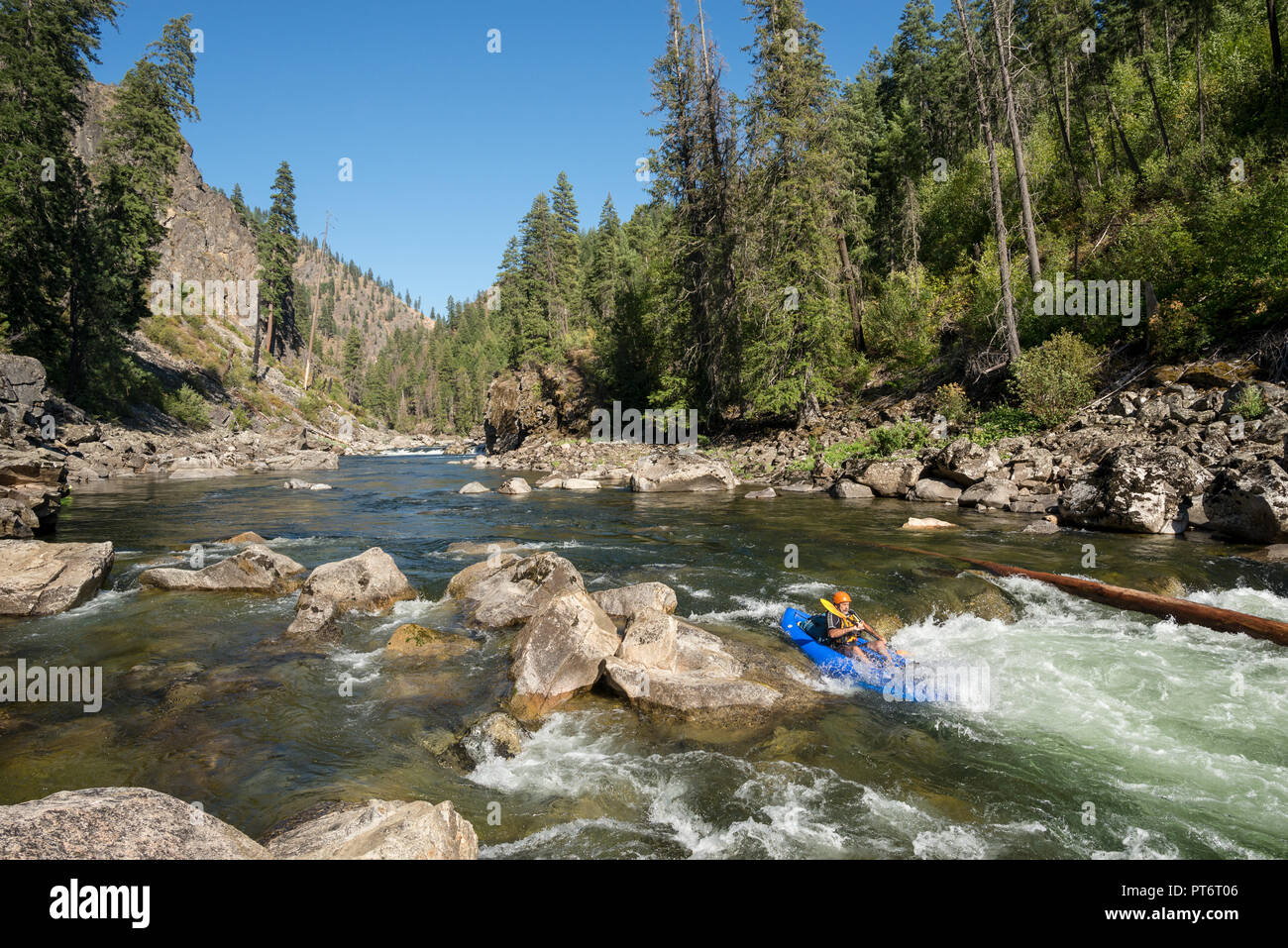 Eine aufblasbare Kajak paddeln auf der Idaho Selway River. Stockfoto