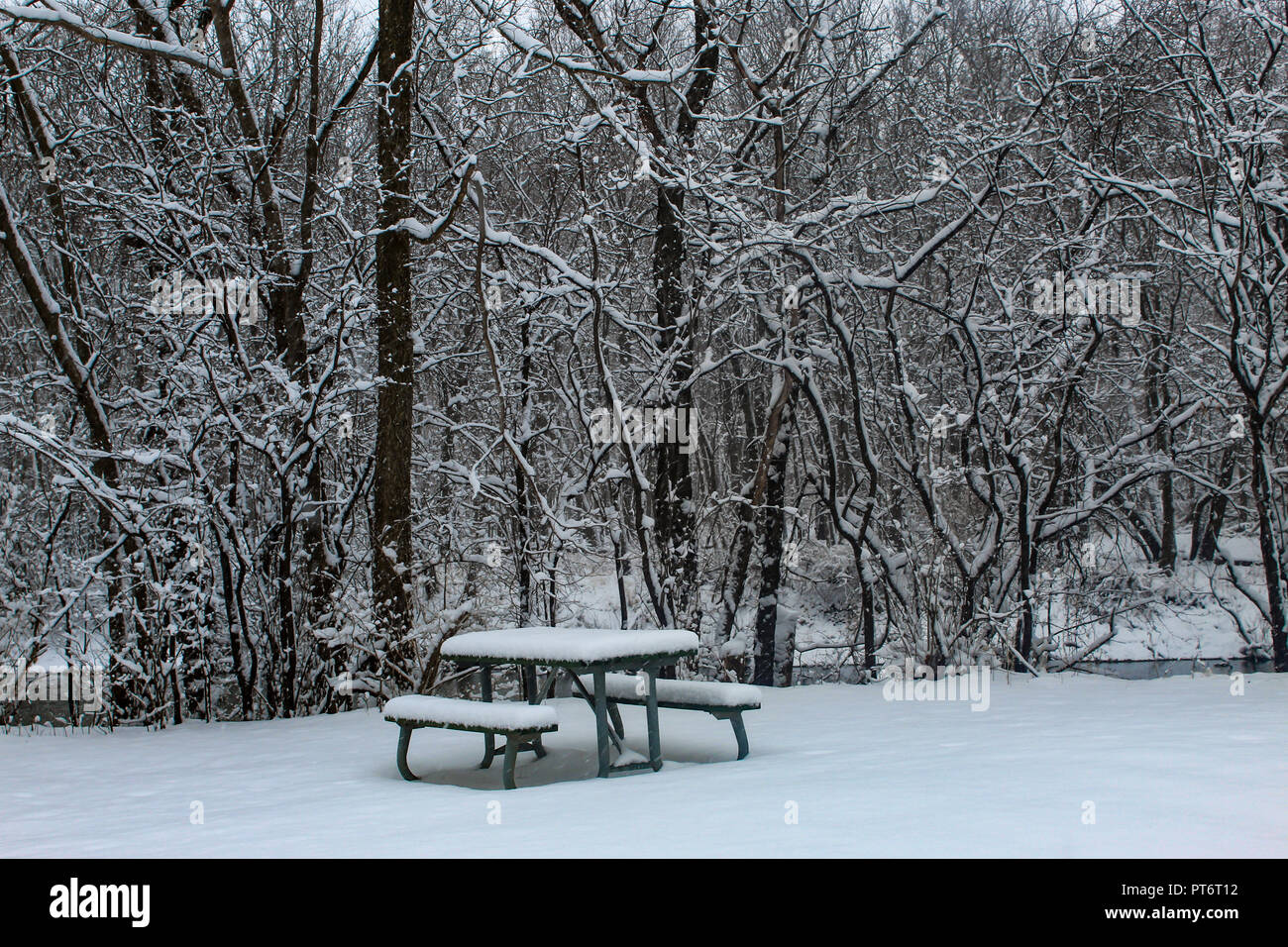 Später Frühling Schnee am George Wyth State Park, Iowa, April 2018 Stockfoto