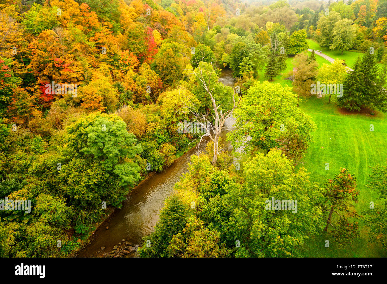 Üppiger Herbst Laub Farben entlang Don River in ET Seton Park im East York, Toronto, Ontario, Kanada Stockfoto