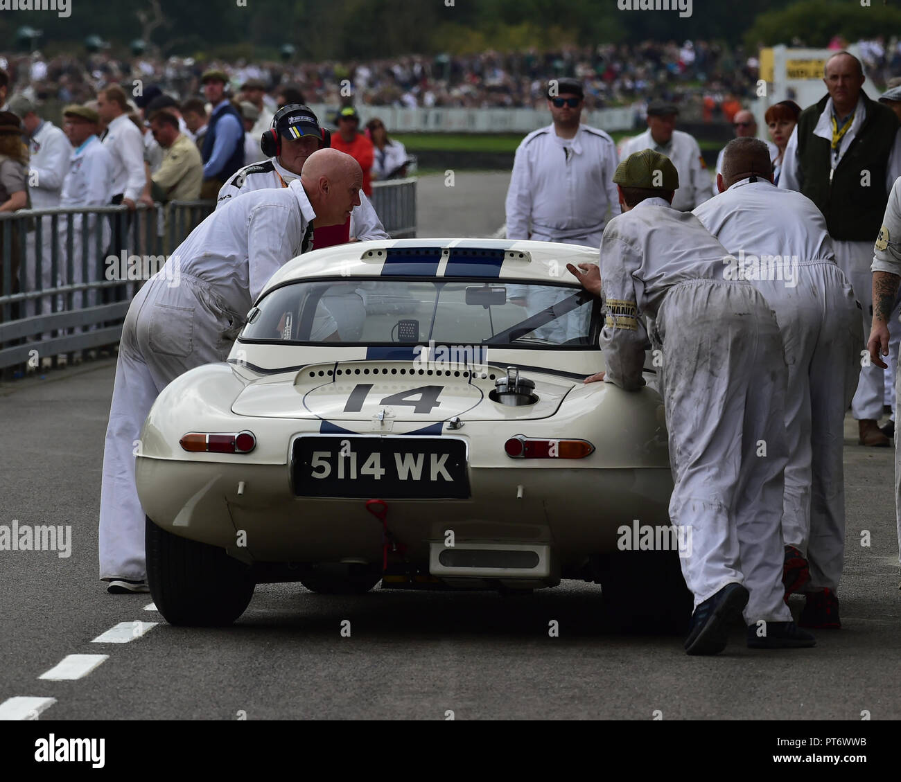 Emanuele Pirro, Gary Pearson, Jaguar E-Type lightweight, Royal Automobile Club TT Feier, geschlossenen Cockpit GT Autos, 1960 bis 1964, Goodwood Revival Stockfoto