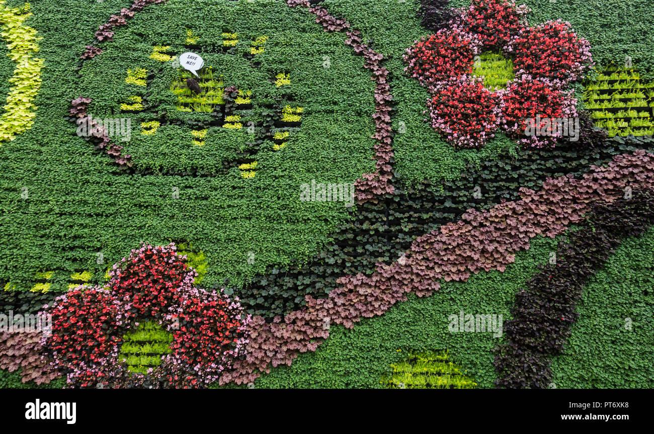 Die Royal Botanic Gardens in Sydney, hat den größten Innenraum grüne Wand in der südlichen Hemisphäre. Sowie mit mehr als 18 000 Pflanzen growin Stockfoto