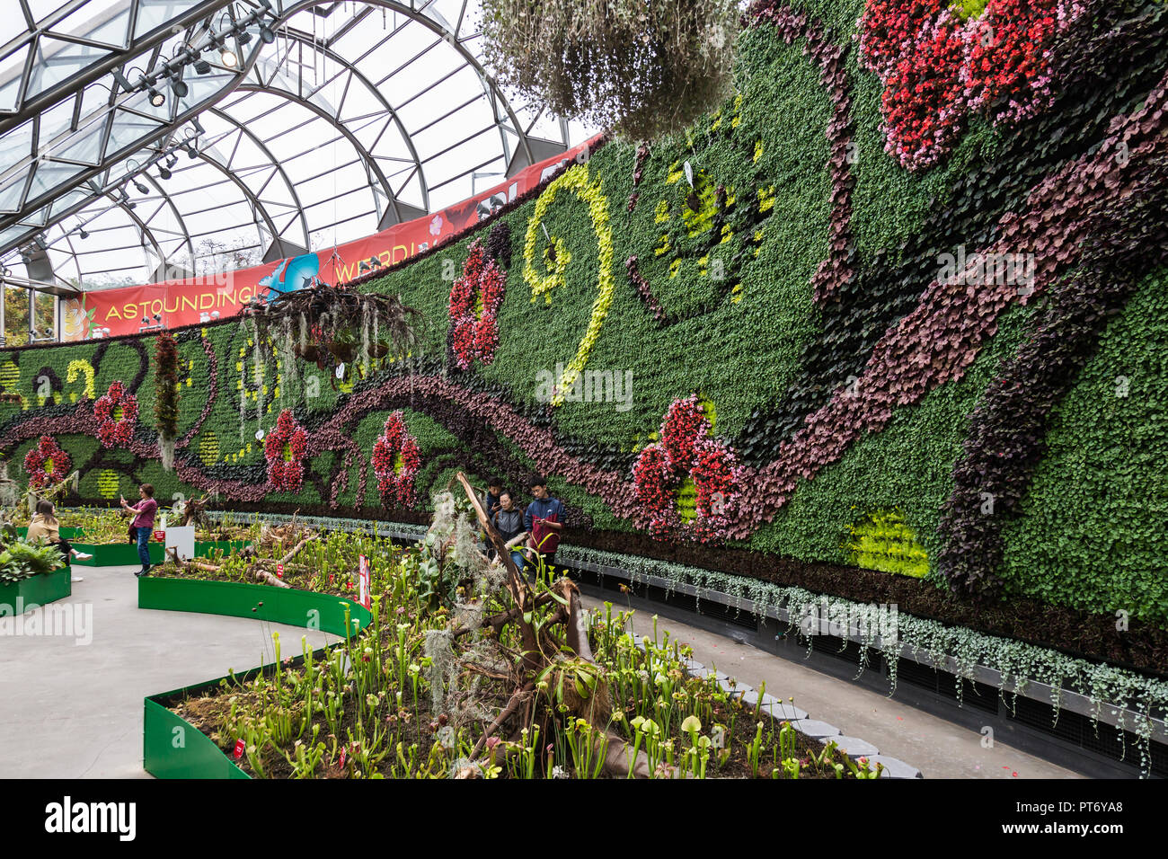 Die Royal Botanic Gardens in Sydney, hat den größten Innenraum grüne Wand in der südlichen Hemisphäre. Sowie mit mehr als 18 000 Pflanzen growin Stockfoto