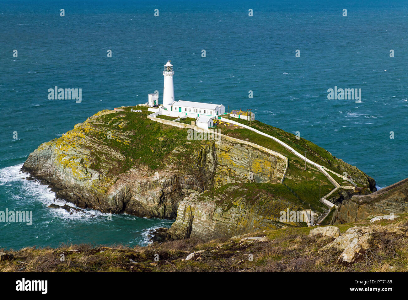 South Stack Leuchtturm an der Nordwestküste von Anglesey Stockfoto