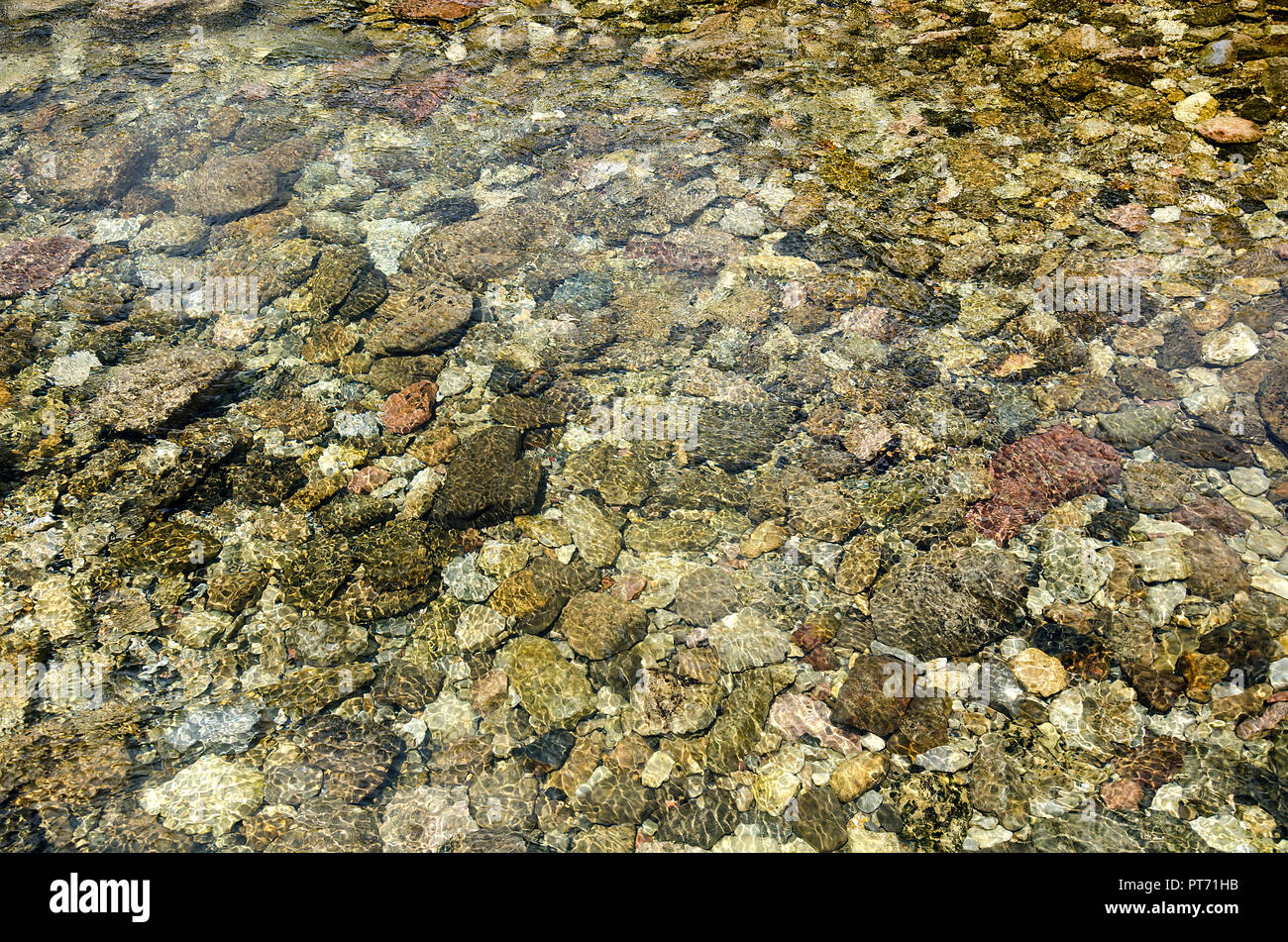 Bunte kleine einzigartige Kieselsteine in kalten klaren Fluss Wasser. Sonne machen unterschiedliche Reflexion. Smoоth und gerippten Kieselsteinen. Kleine Steine. Stockfoto