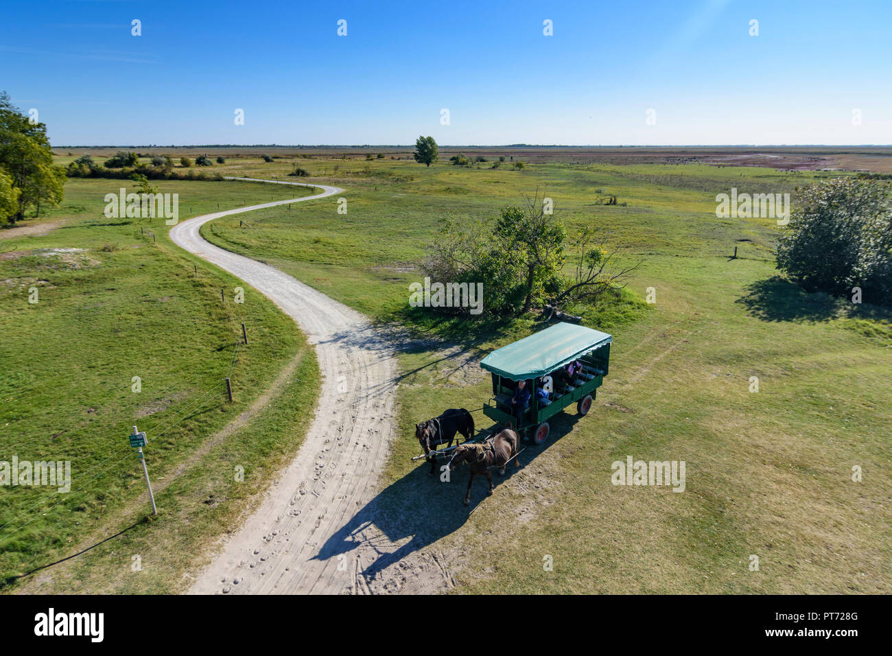 Illmitz: Pferdekutsche tour, Foto vom Aussichtsturm auf Sandeck, ehemaliger Wachturm auf der Eisernen Vorhang in den Neusiedler See (Neusiedler See) nationa Stockfoto