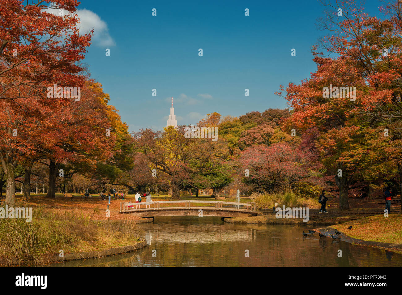 Herbst und Laub im Yoyogi Park Stockfoto