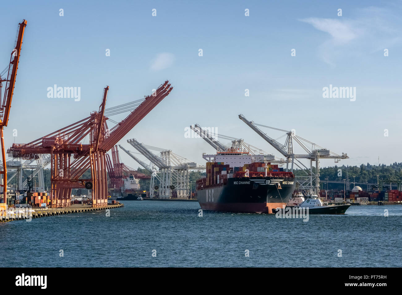 Container Cargo MSC Channe verlassen den Hafen von Seattle von einem Schlepper Boot oder abschleppen Schiff, Elliott Bay, Washington State, USA geschleppt. Stockfoto