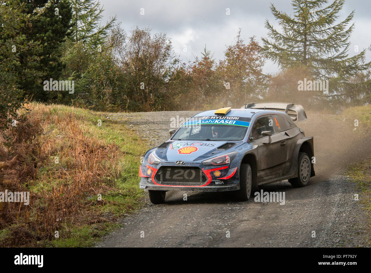 Dyfnant, UK. 6. Oktober 2018. Der Hyundai i20 WRC von Andreas Mikkelsen (Norwegen) mit der Geschwindigkeit auf dem Kies Waldwege, die Stufe 14 des 2018 Wales Rally von Großbritannien, durch den Wald in der Nähe von Dyfnant Welshpool, Powys, Wales Credit: Mike Hillman/Alamy leben Nachrichten Stockfoto