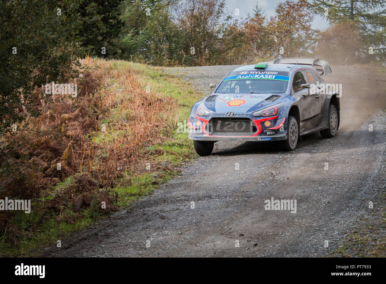 Dyfnant, UK. 6. Oktober 2018. Der Hyundai i20 WRC von Hayden Padden (Neuseeland) bei Drehzahl auf dem Kies Waldwege, die Stufe 14 des 2018 Wales Rally von Großbritannien, durch den Wald in der Nähe von Dyfnant Welshpool, Powys, Wales Credit: Mike Hillman/Alamy leben Nachrichten Stockfoto